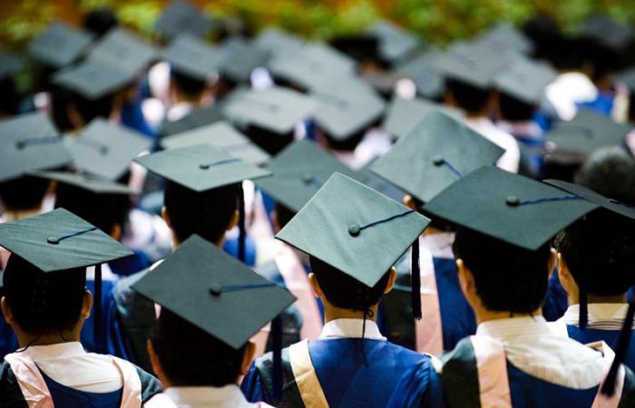 Понад 25% дипломів коледжів мають негативну рентабельність інвестицій